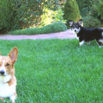 Ed and Bridey of New Hampshire