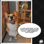 Momo Monday: Vintage Daily #Corgi Goodness!