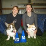 Team Daily Corgi Goes to 2014 AKC National Agility Championship!