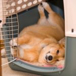 Why an upside down afternoon nap is a BRILLIANT idea!