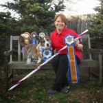 2014 AKC Agility Champ: Porter the Cardigan #Corgi!