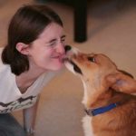 Catching Up with CorgiPals