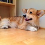 Jasper Islington’s Adventures in Weight Loss!