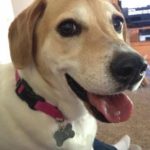 Saturday Smiler: Lila!