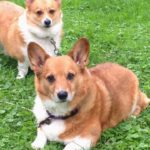 Sneak Preview: Update on Toby and Tucker Next Week!