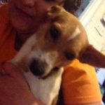 Catching Up With CorgiPals