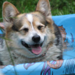 Friday Feature:  Everybody in the Pool!
