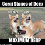 What is DERP?