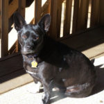 Gracie Weber-Quigley: Queen of Hearts!
