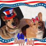 I want YOUR 4th of July #Corgi Photos!