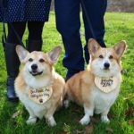 Dierks + Sadie Bells + Baby Makes Three!
