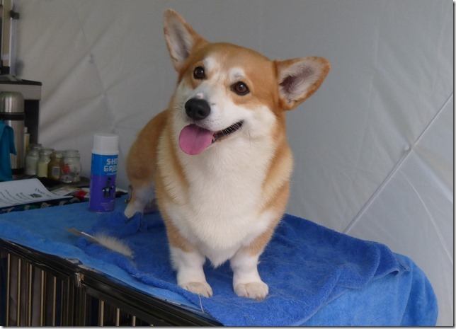 Looker sends his smile all the way from Australia!