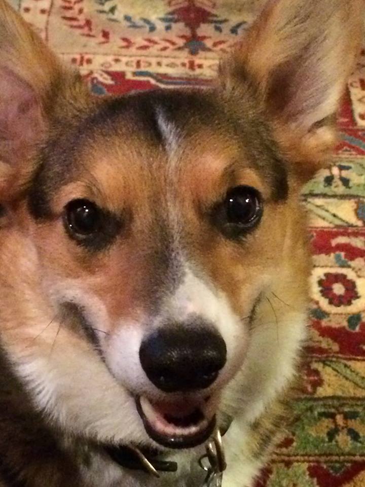 Oscar
