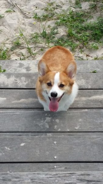 Milo of Florida