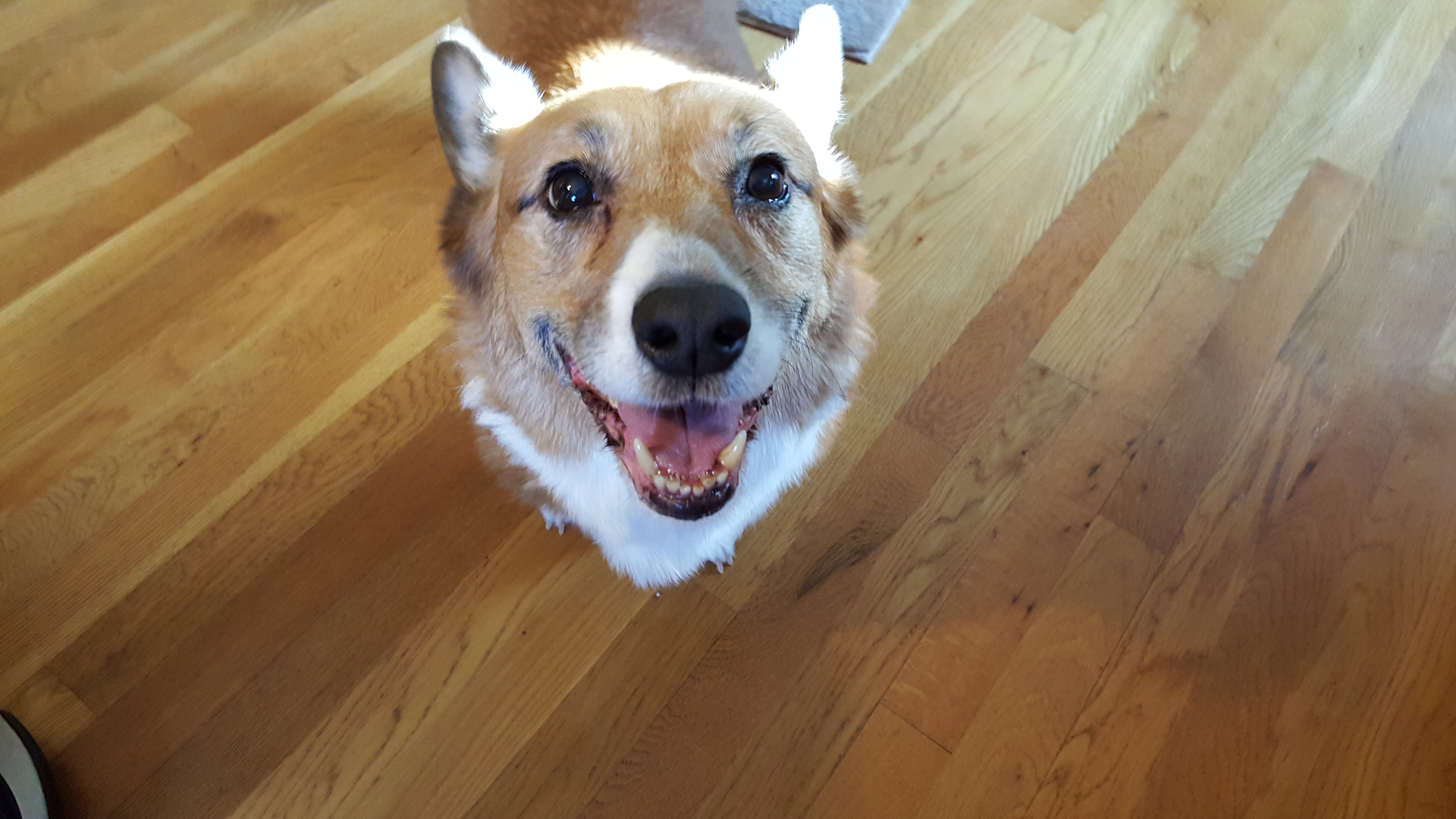 Tucker