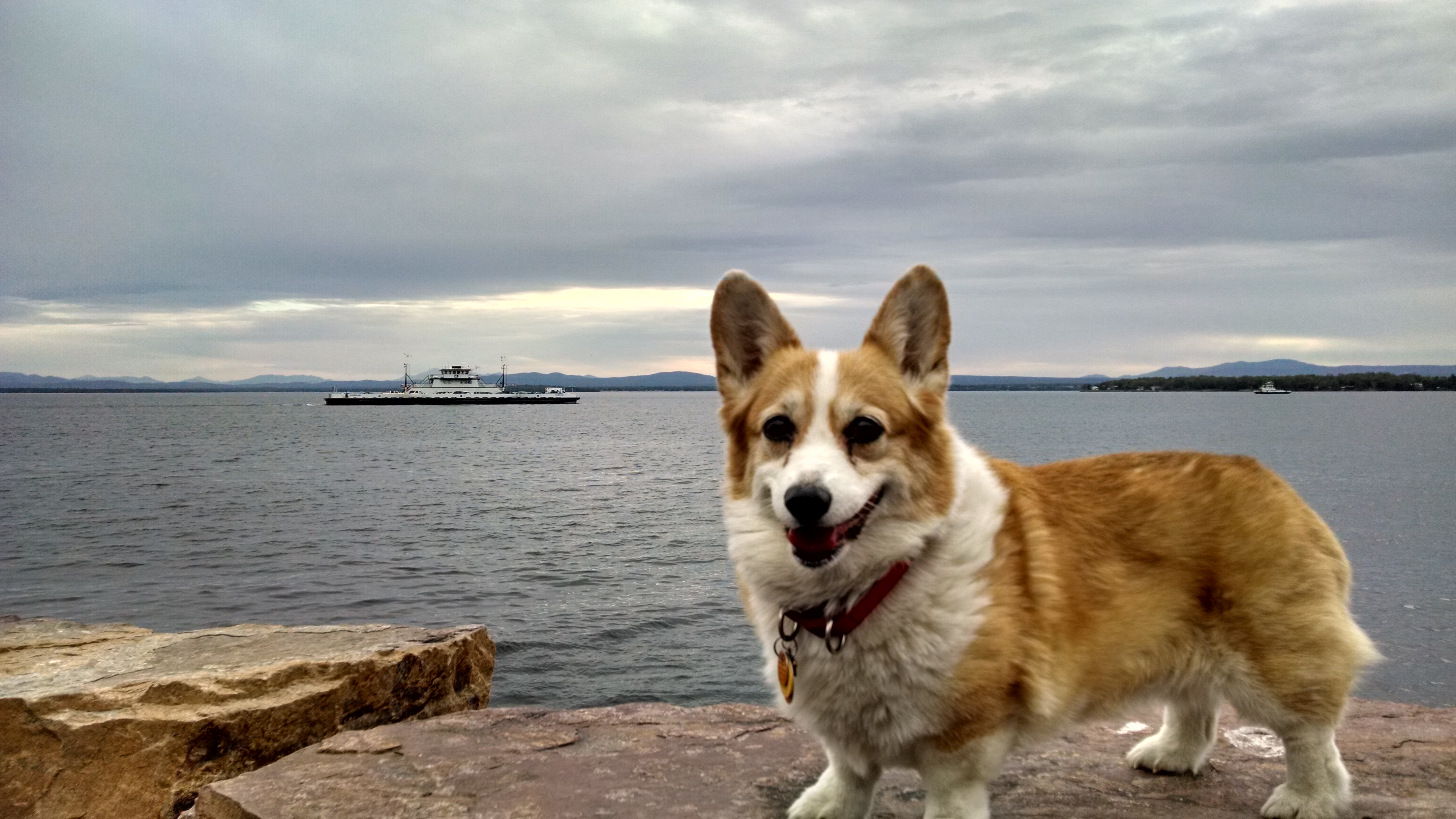 Brandy at the beautiful Lake Champlain