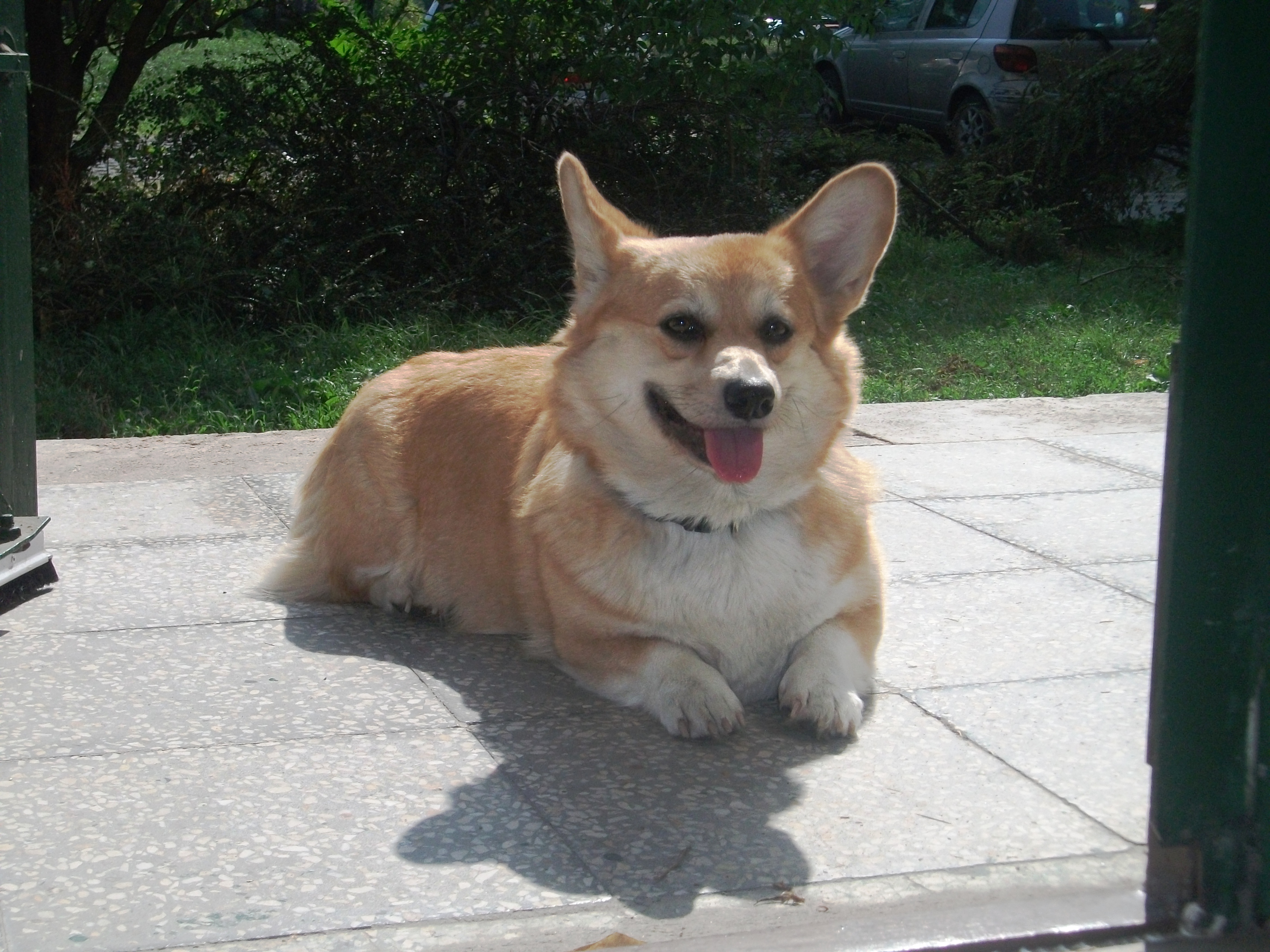 Duffy