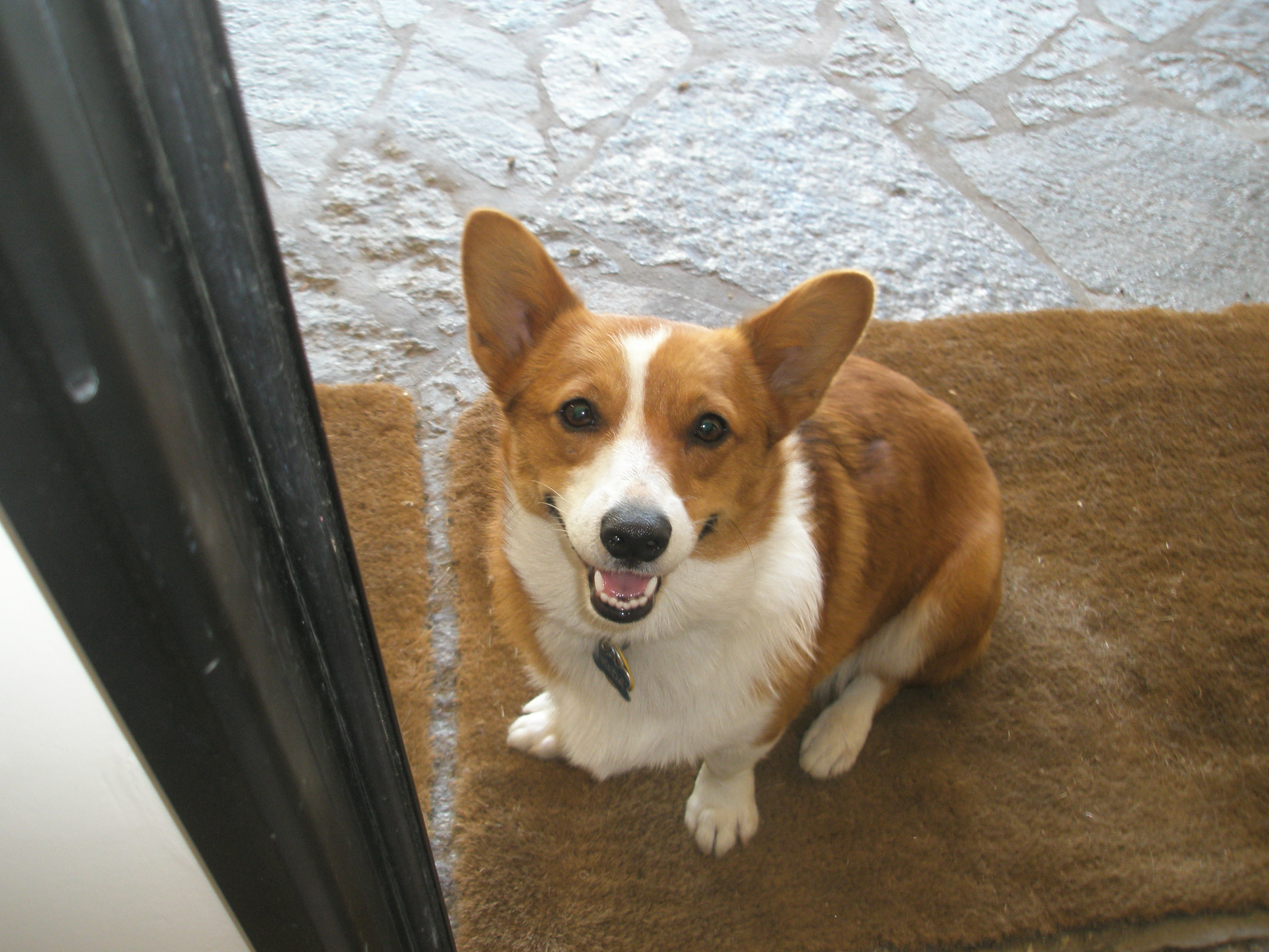 Frieda
