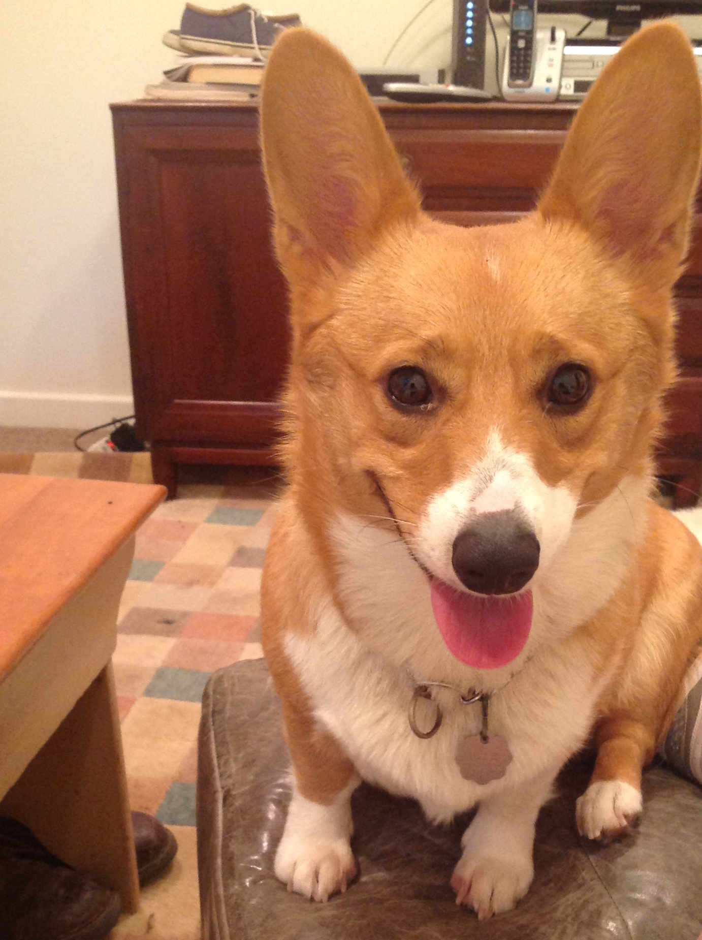 Penuche. That's pe-NOO-chee to you. 