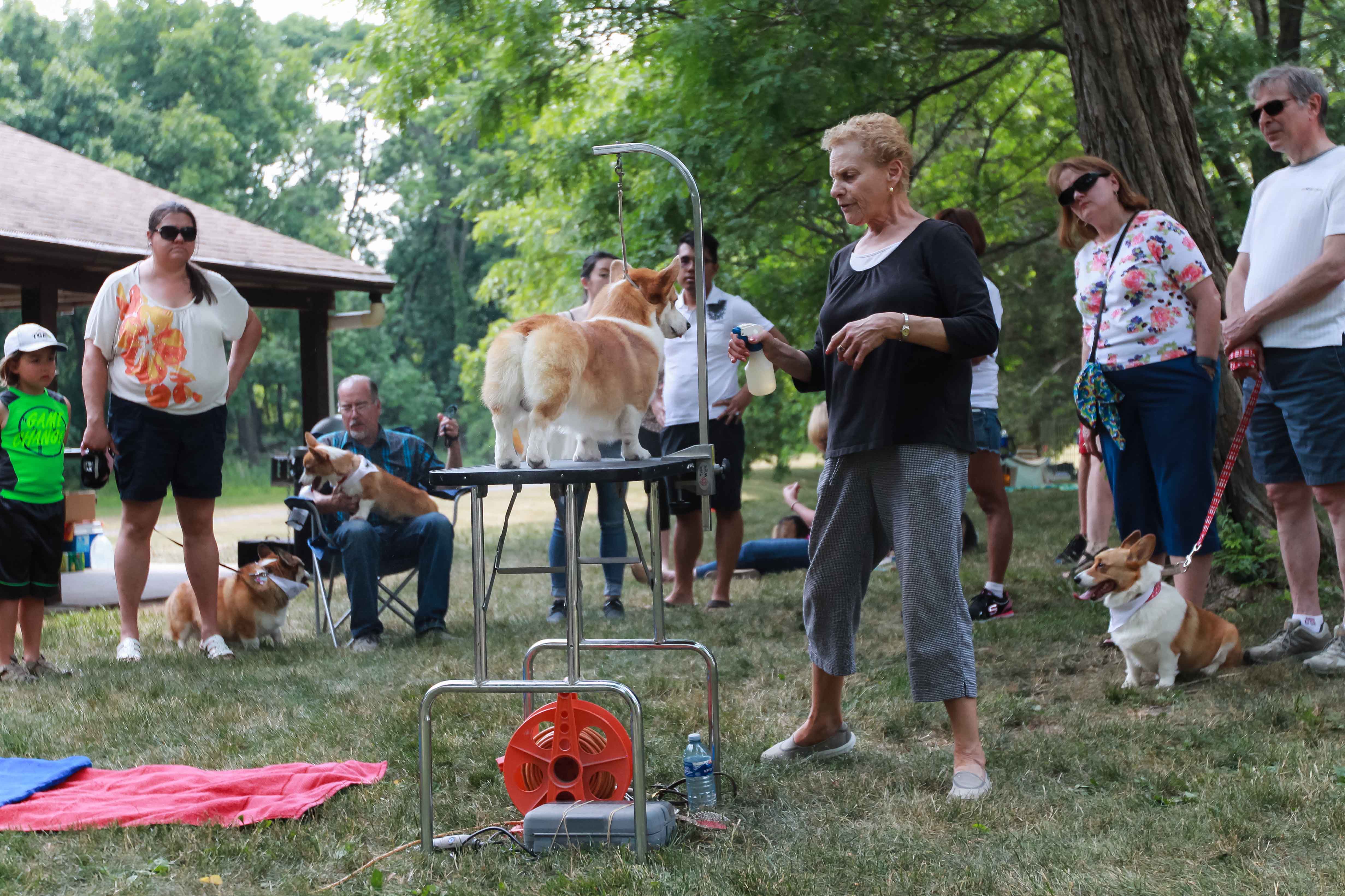 Grooming demo