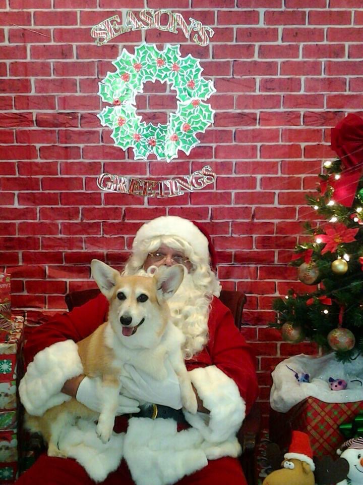 Shelley and That Jolly Old Elf