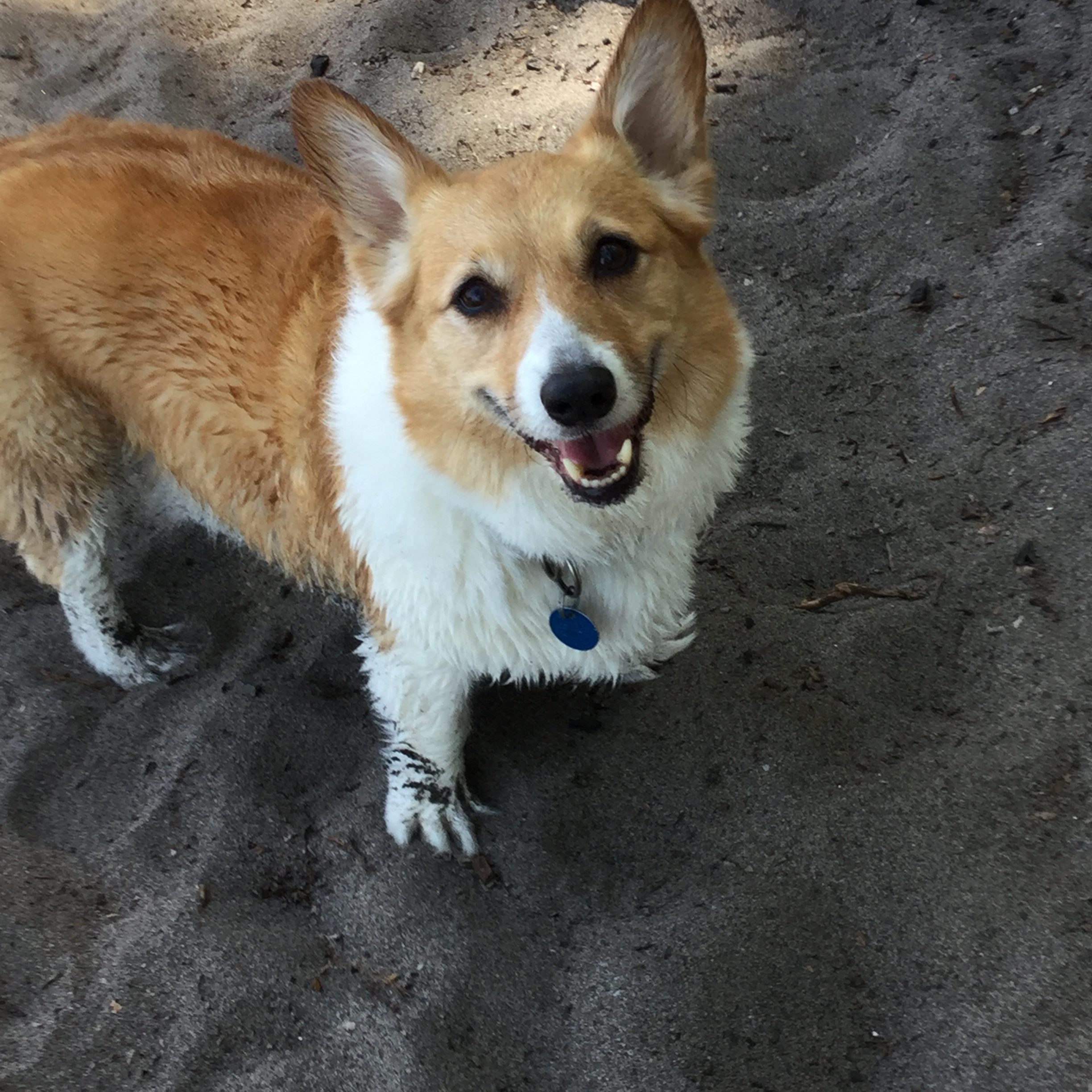 Ein
