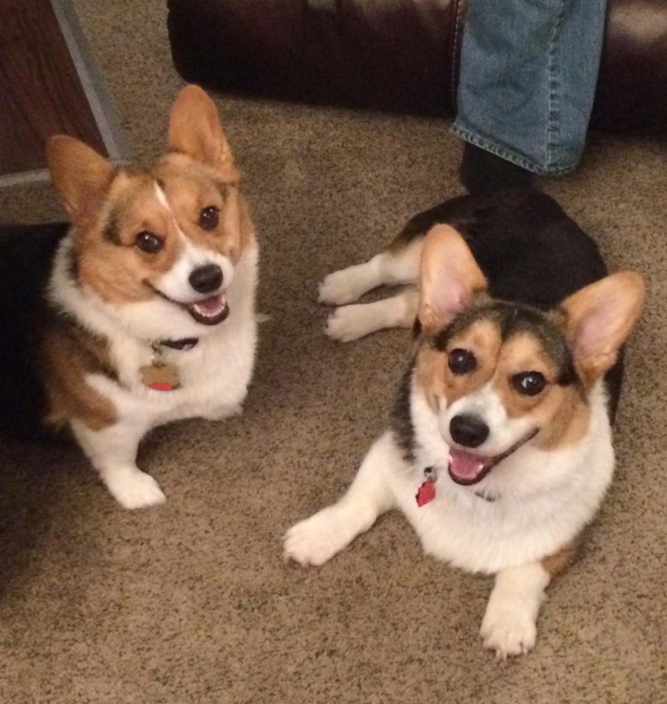Macie Mae and Charlie Boy