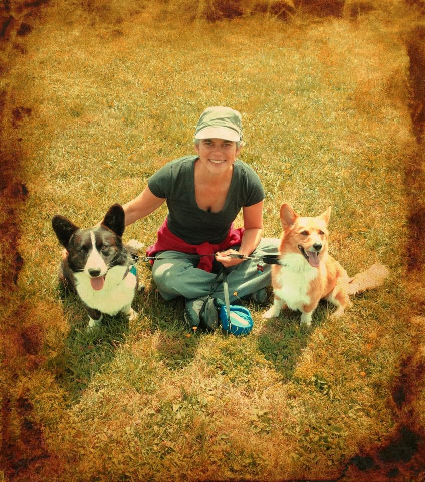 Sir Pippin and Lu visited Zoe in Pennsylvania on their journey from Alaska to New York's Adirondack Mountains. Corgi Power across state lines? You bet!