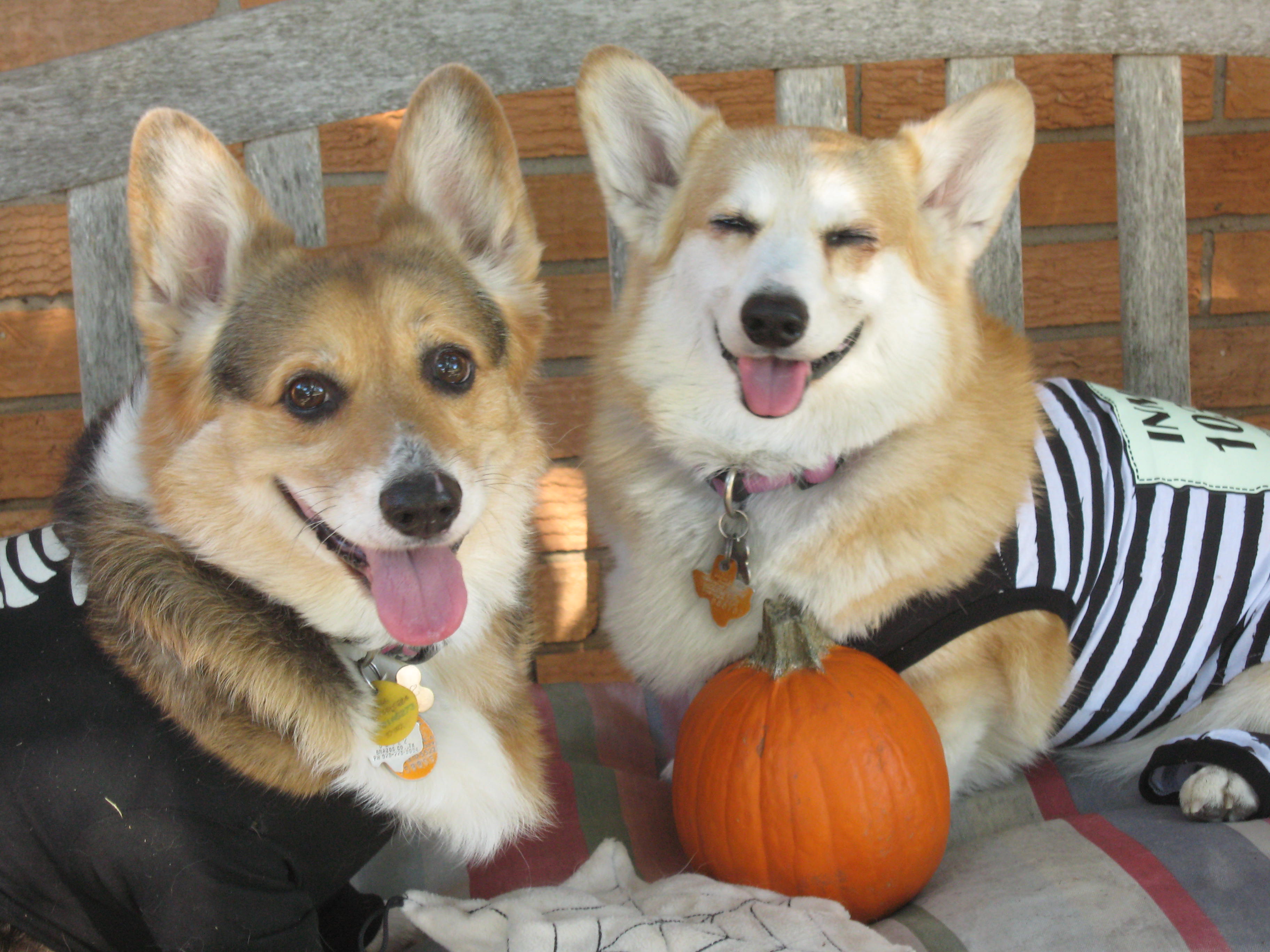 George and Roxie