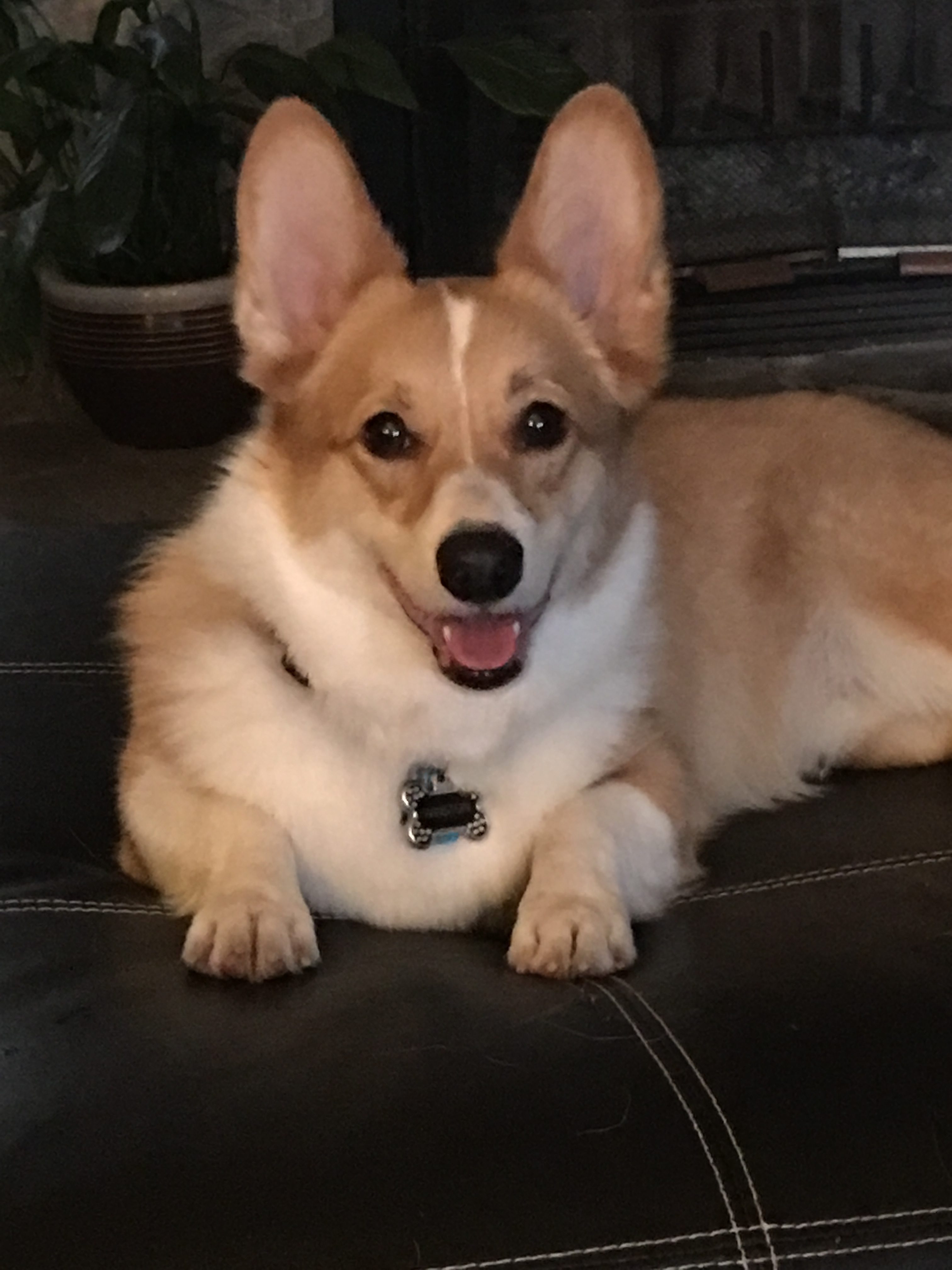 Winston