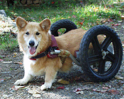 Melwlith. Have wheels, will roll!
