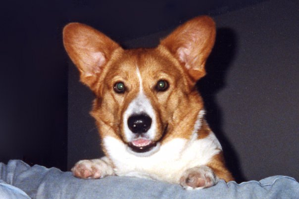 Lil' Handsome