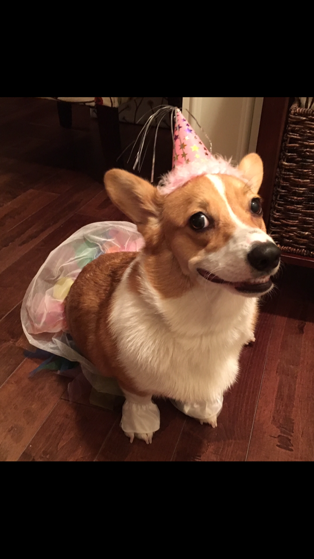 Maehem on her first birthday. 