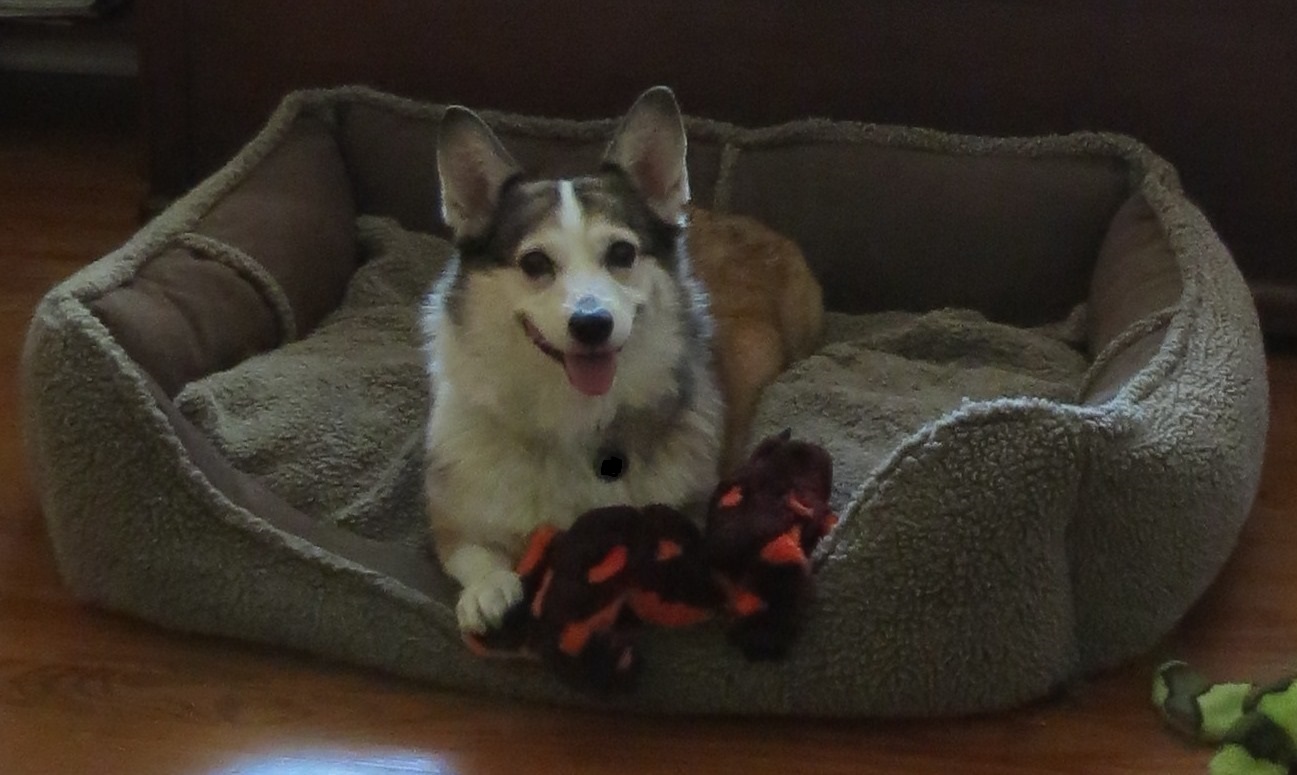 Tessie