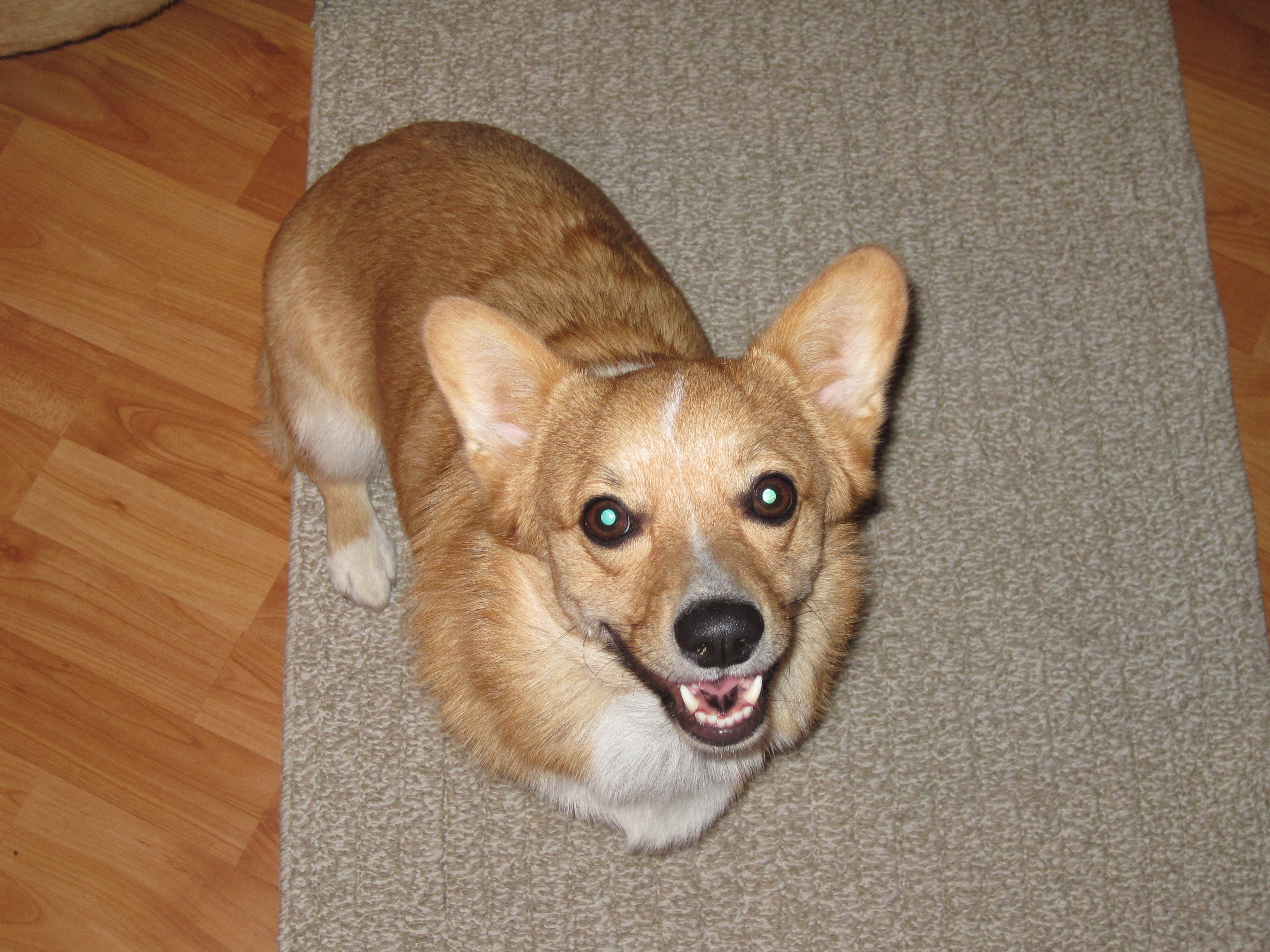 Tucker
