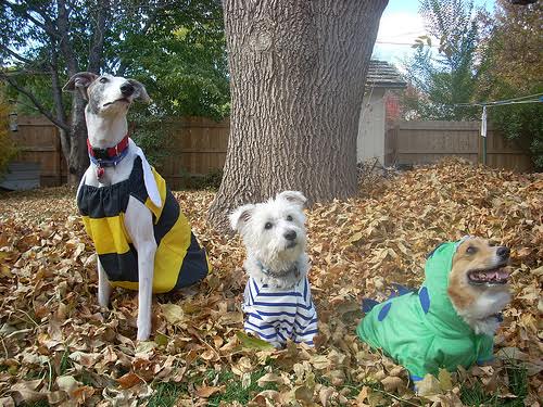 Left to right Brina, Bobby, and Dylan