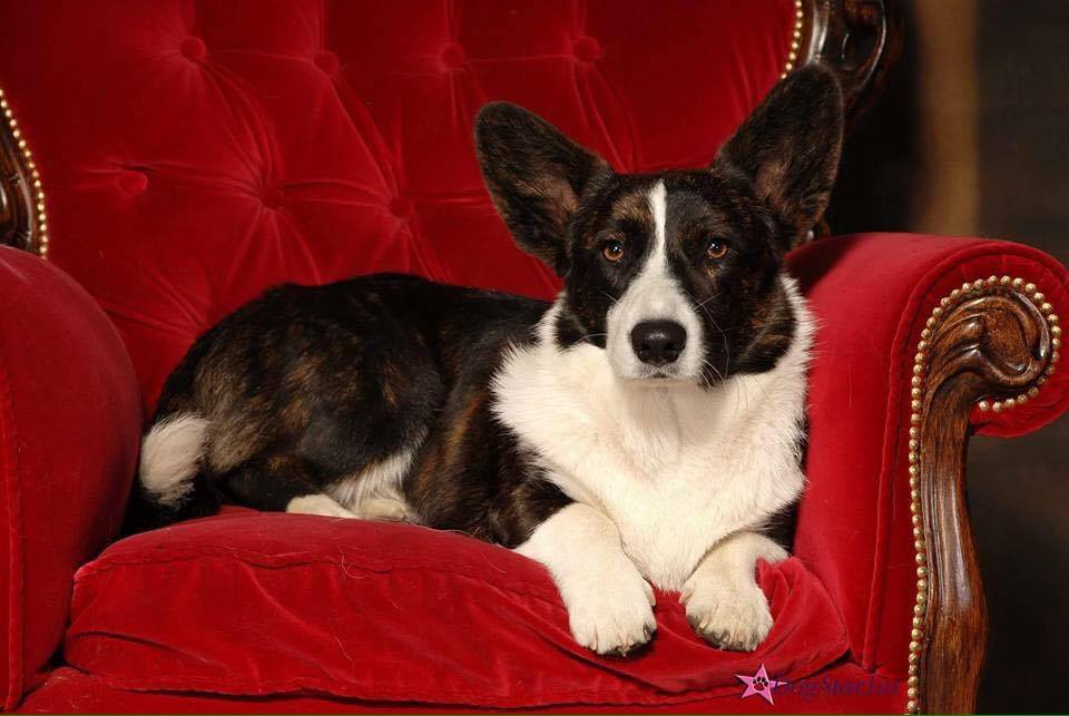 Duncan is fantastically handsome. He knows it.
