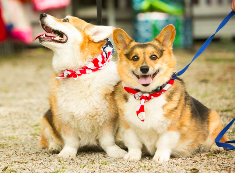 Daphne (making pretty faces) and her boyfriend Jerry (with the feed me face).