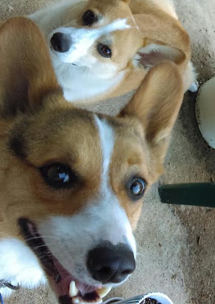 Honey and Louis