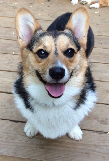 Maggie