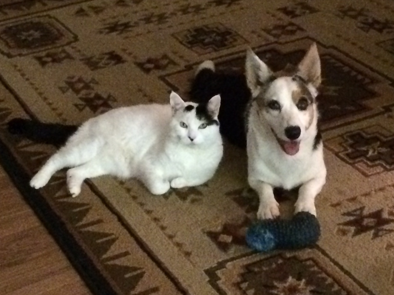 Kizzy and Co.