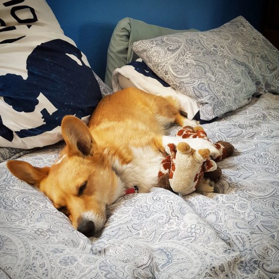 Locutus of Corg