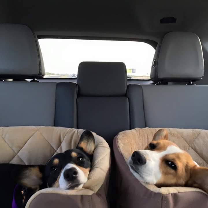 Maggie and Teagan