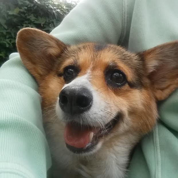 Mitzie Cha Cha