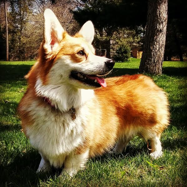 Winnie of Michigan