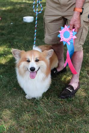 Winner of Best Fluffy