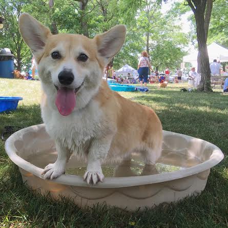 Wally takes a dip!