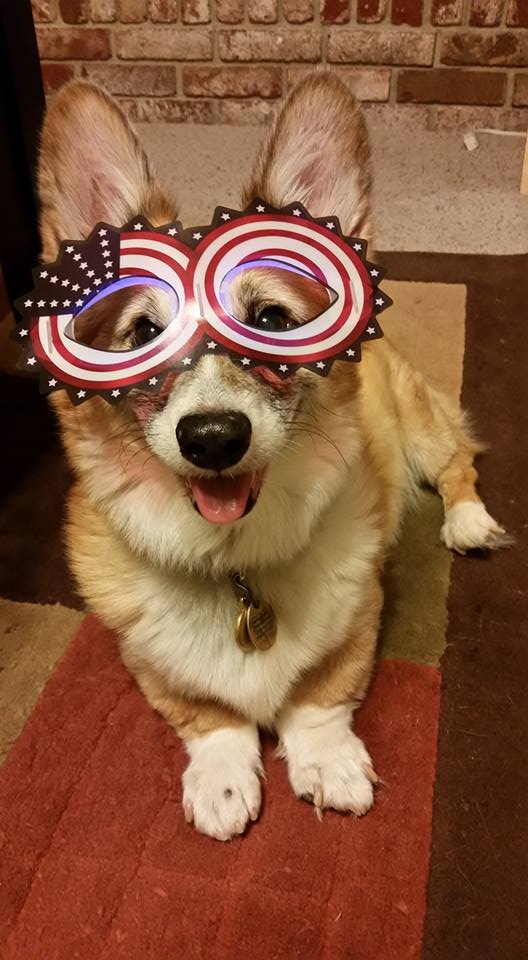 Bullitt may be an old timer, but he still knows how to party!