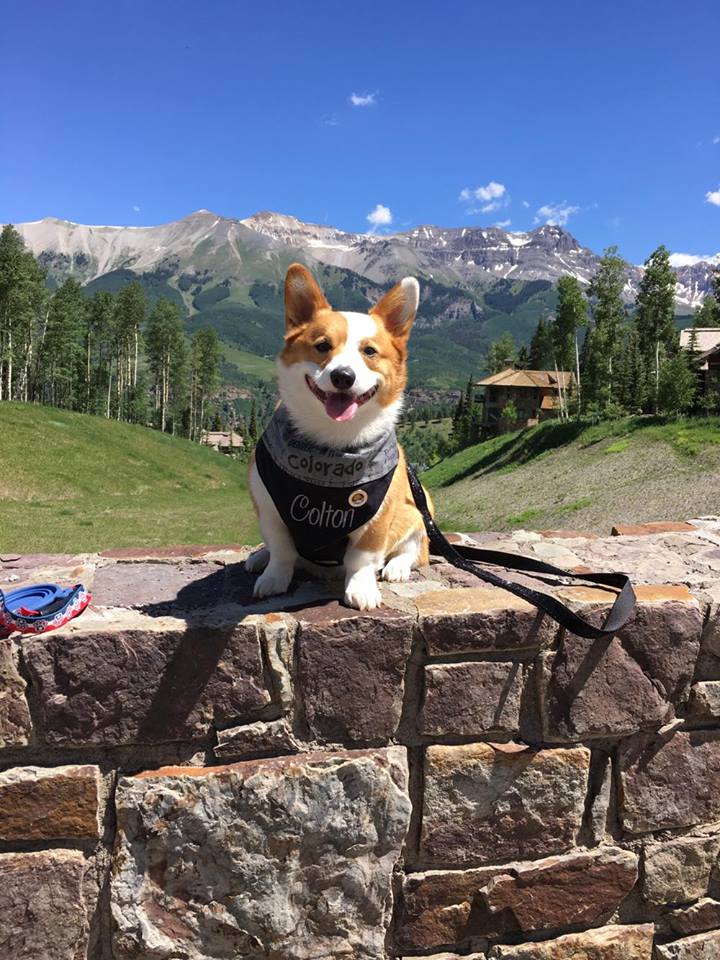 Colton