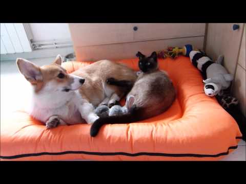Sun to Schroedinger: Scram, kid. You annoy me. 